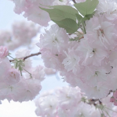 堆龙德庆FurryQQ群介绍